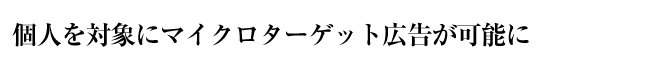 個人を対象にマイクロターゲット広告が可能に