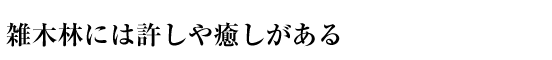 雑木林には許しや癒しがある