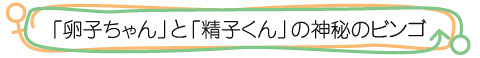 ●「卵子ちゃん」と「精子くん」の神秘のビンゴ